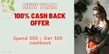 Home Garden Plants Online