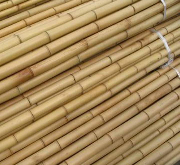 Bamboo Stick “Per Piece” 15-30mm Dia