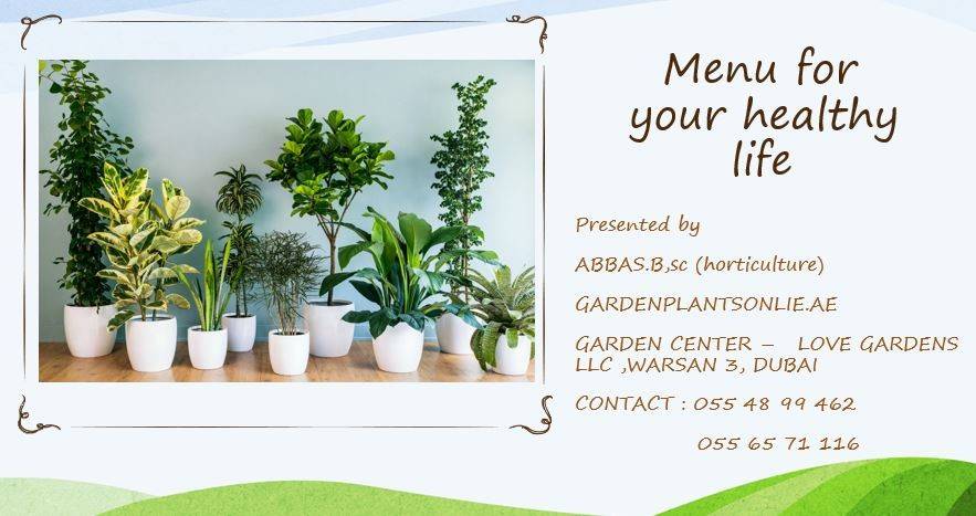Garden Plants Online