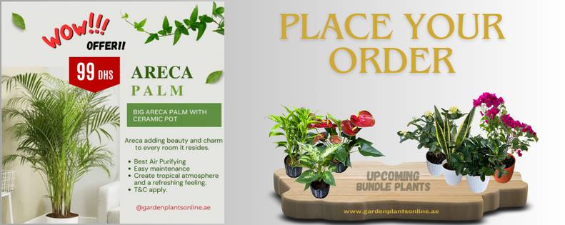 Garden Plants Online