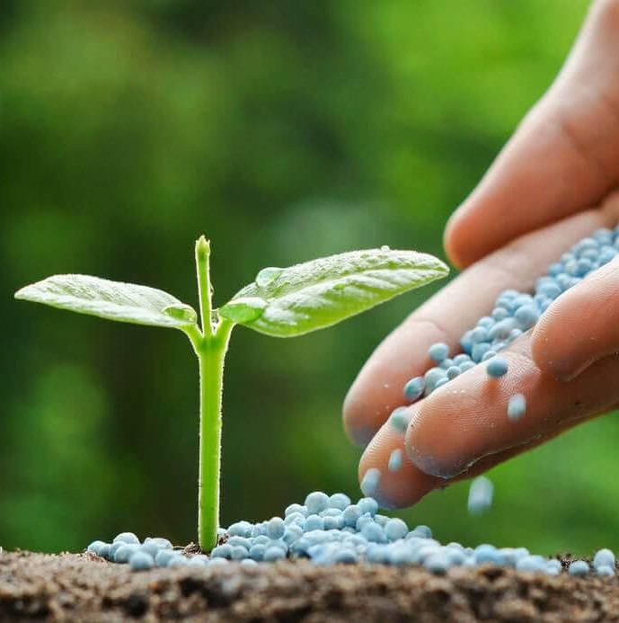 Soil and Fertilizers